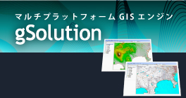 gSolution