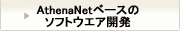 ソフトウエア開発