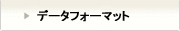 データフォーマット