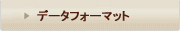 データフォーマット
